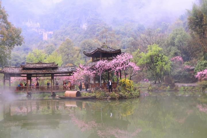 逃离大犀牛出没地