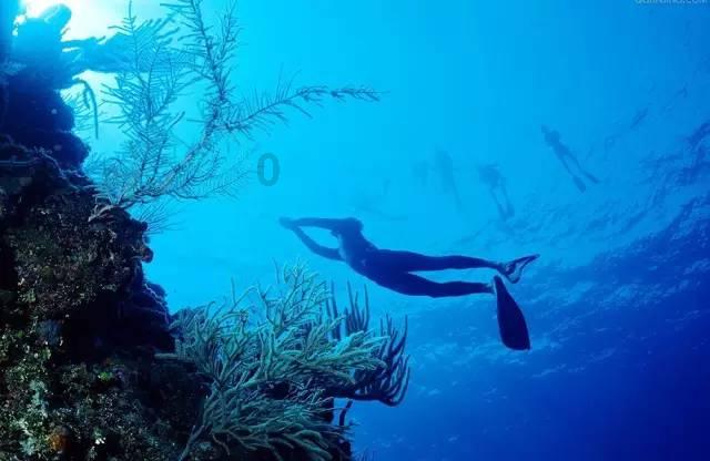海南:加强南繁转基因试验管理,严格执行转基因试验审批制度